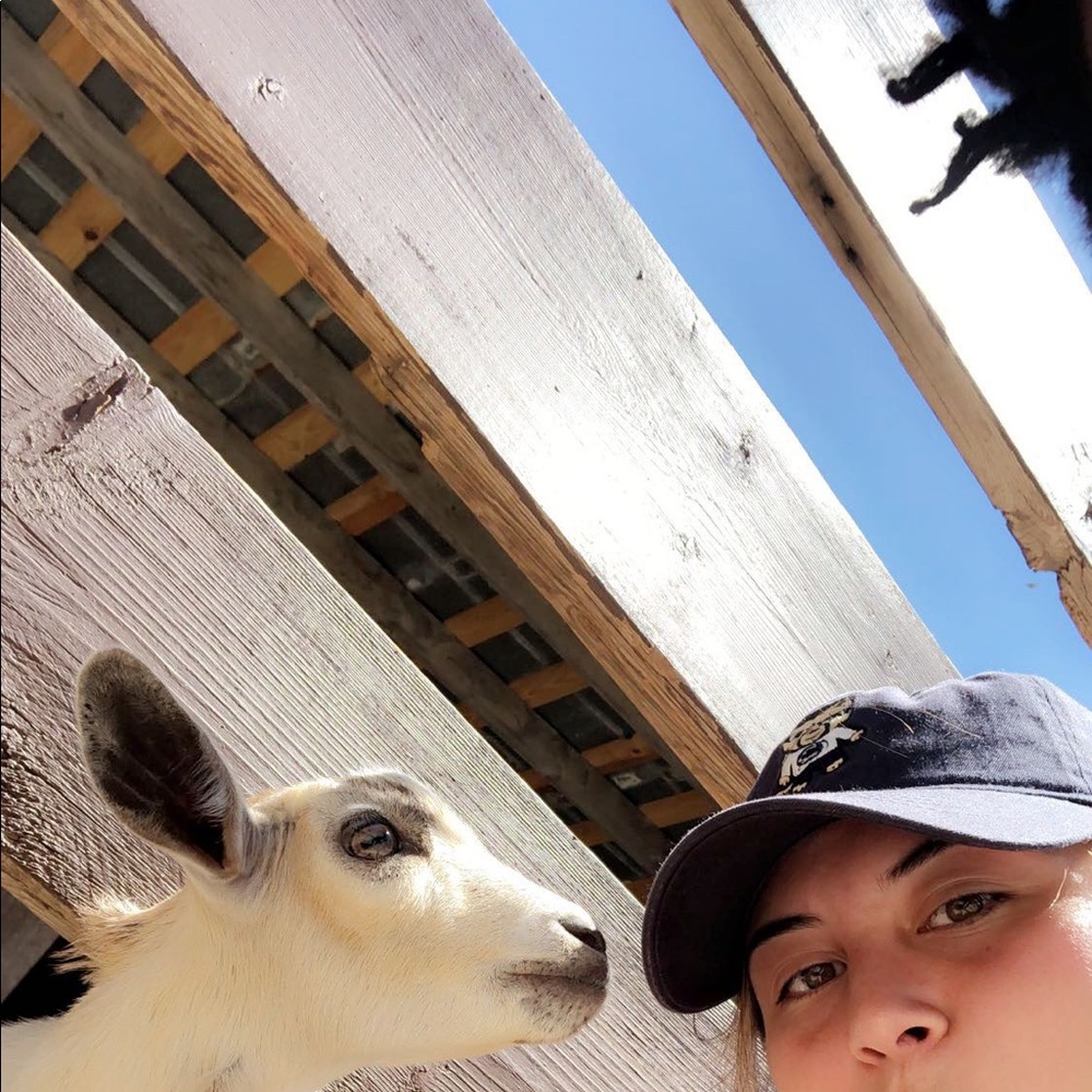 Meet your Posher, Naheda